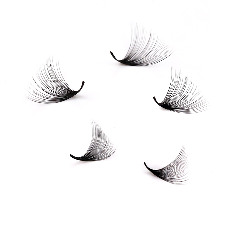 Lashprofessor XL Tray 3D 4D 5D - đánh giá và giá Eyelash Extension Review