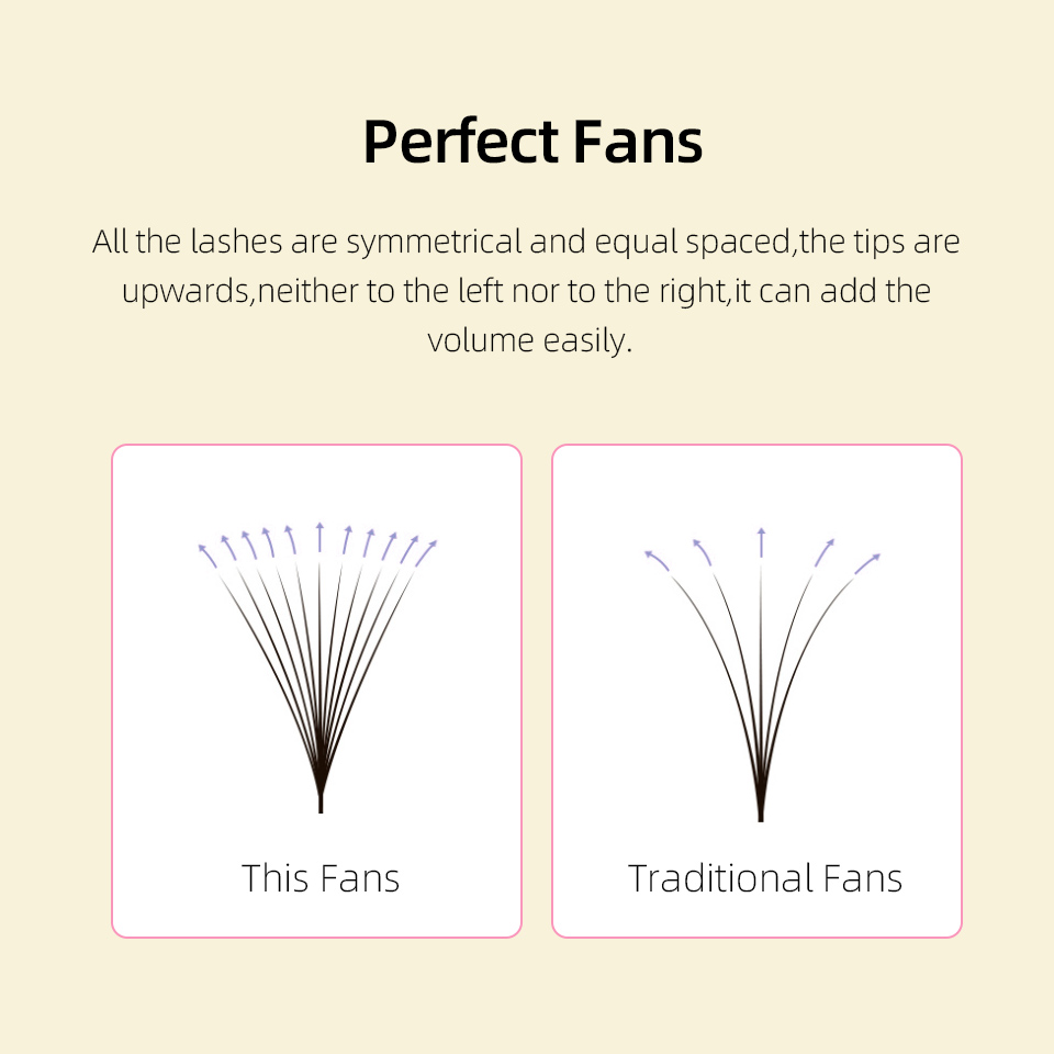 Lashprofessor XL Tray 3D 4D 5D - đánh giá và giá Eyelash Extension Review