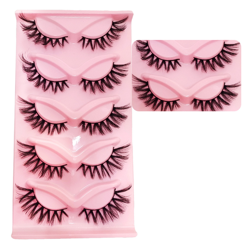 5 Pairs Thick Fluffy False Eye - đánh giá và giá Eyelash Extension Japanese